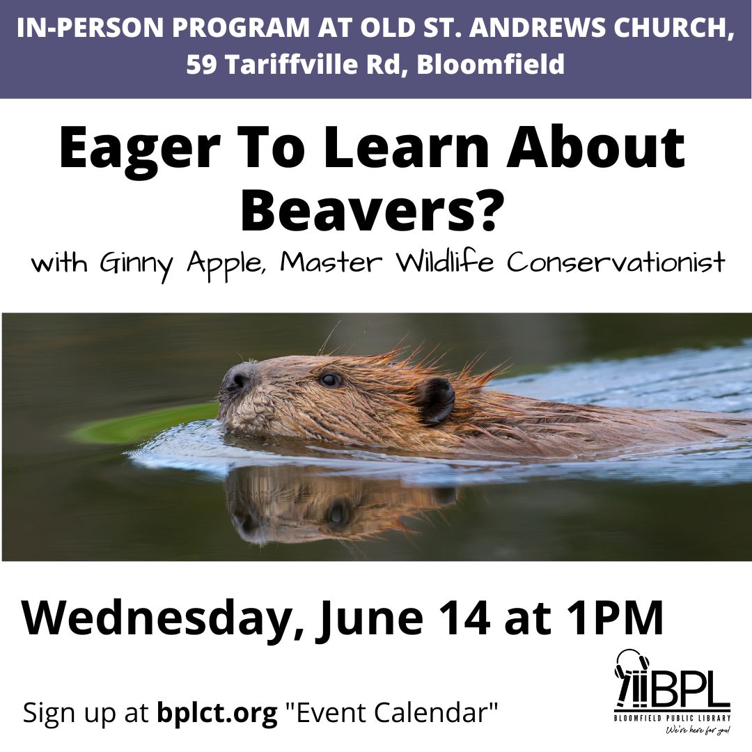 Eager to learn about Beaver flyer