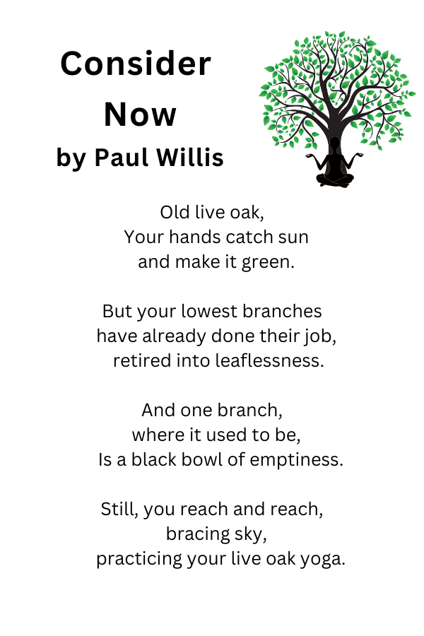 Consider Now poem by Paul Willis