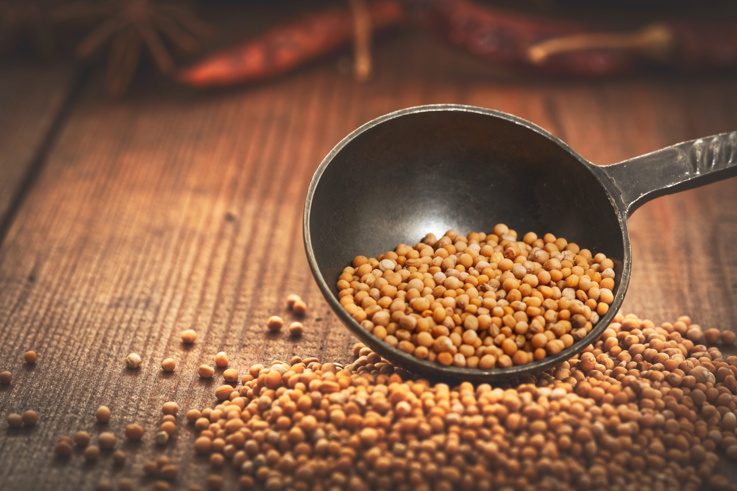 October 5_2025 mustard seed image